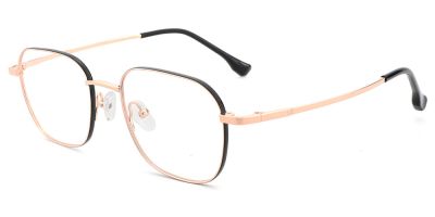 Titanium Prescription Glasses 26023 Gold