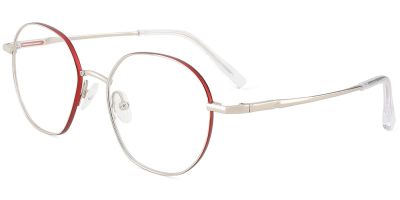 Titanium Prescription Glasses 26035 Silver