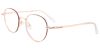 Titanium Prescription Glasses 26036 Gold Brown