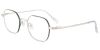 Titanium Prescription Glasses 26038 Silver