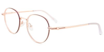 Titanium Prescription Glasses 26036 Gold Brown