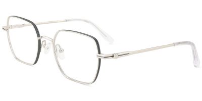 Titanium Prescription Glasses 26037 Silver