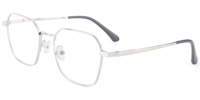 Titanium Prescription Glasses 26040 Silver